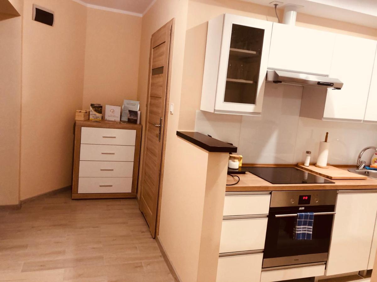 Apartamenty Alicja Dzierżoniów Kültér fotó